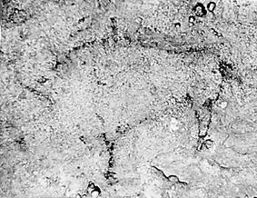 ST.Abs6.jpg