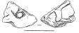 _217702.jpg   