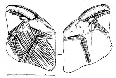 217697.jpg   