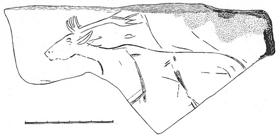 76975.jpg