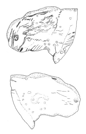 h10.jpg   